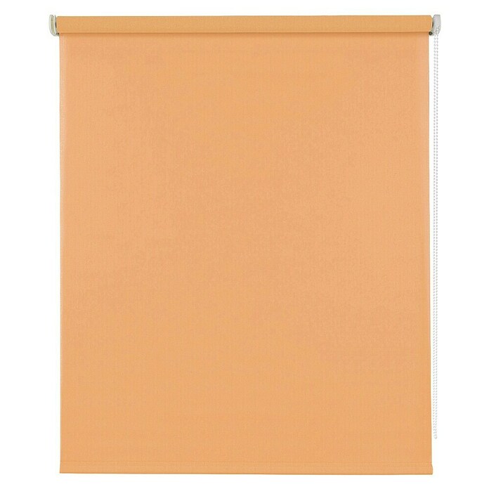 Estor enrollable Soft (An x Al: 120 x 250 cm, Melocotón) | BAUHAUS