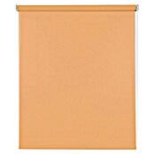 Estor enrollable Soft (An x Al: 120 x 250 cm, Melocotón) | BAUHAUS