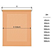 Estor enrollable Soft (An x Al: 120 x 250 cm, Melocotón) | BAUHAUS