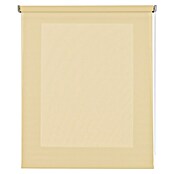 Estor enrollable Soft (An x Al: 120 x 250 cm, Vainilla) | BAUHAUS