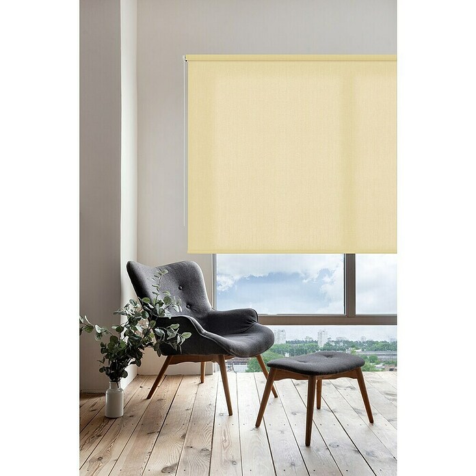Estor enrollable Soft (An x Al: 120 x 250 cm, Vainilla) | BAUHAUS