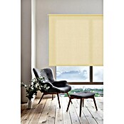 Estor enrollable Soft (An x Al: 120 x 250 cm, Vainilla) | BAUHAUS