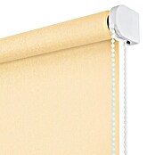 Estor enrollable Soft (An x Al: 120 x 250 cm, Vainilla) | BAUHAUS