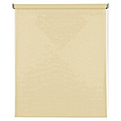 Estor enrollable Soft (An x Al: 120 x 250 cm, Vainilla) | BAUHAUS