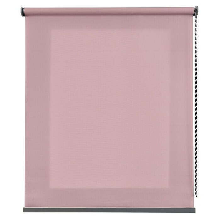 Estor enrollable Calm (An x Al: 120 x 250 cm, Malva, Unicolor) | BAUHAUS