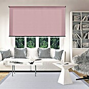 Estor enrollable Calm (An x Al: 120 x 250 cm, Malva, Unicolor) | BAUHAUS