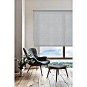 Estor enrollable Soft (An x Al: 120 x 250 cm, Gris) | BAUHAUS