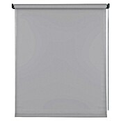 Estor enrollable Soft (An x Al: 120 x 250 cm, Gris) | BAUHAUS