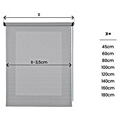 Estor enrollable Soft (An x Al: 120 x 250 cm, Gris) | BAUHAUS