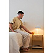 Astigarraga Aura Mesita de noche (L x An x Al: 25 x 40 x 50 cm, Natural, Número de cajones: 1 ud.) | BAUHAUS