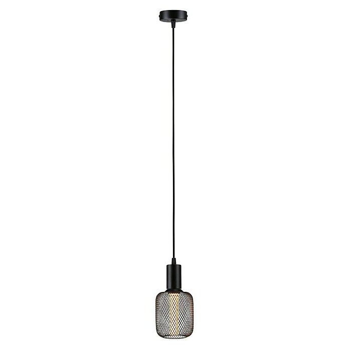 Paulmann Lámpara colgante WD Ravi (60 W, Ø x L: 8 x 150 cm, Negro, E27) | BAUHAUS