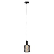 Paulmann Lámpara colgante WD Ravi (60 W, Ø x L: 8 x 150 cm, Negro, E27) | BAUHAUS