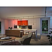 Paulmann URail Foco LED para riel ZB Spot Tarie RGBW (5,5 W, 6 x 16,05 cm, Cromo) | BAUHAUS