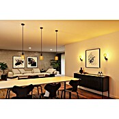 Paulmann Lámpara colgante WD Ravi (60 W, Ø x L: 8 x 150 cm, Negro, E27) | BAUHAUS