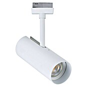 Paulmann URail LED-Spot Theron (13 W, Signalweiß, Warmweiß, 6,2 x 20 cm, 3 000 K) | BAUHAUS