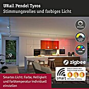 Paulmann URail LED-Pendelleuchte Tyros (5,5 W, Ø x H: 10 x 10,3 cm, RGBW, Signalweiß) | BAUHAUS