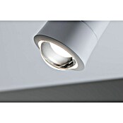 Paulmann URail Foco LED para riel ZB Spot Tarie RGBW (5,5 W, 6 x 16,05 cm, Blanco Señales) | BAUHAUS