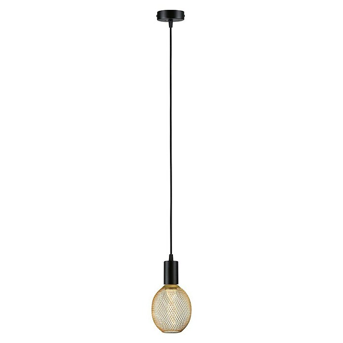 Paulmann Lámpara colgante WD Ravi (60 W, Ø x L: 8 x 150 cm, Negro, E27) | BAUHAUS