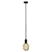 Paulmann Lámpara colgante WD Ravi (60 W, Ø x L: 8 x 150 cm, Negro, E27) | BAUHAUS