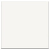 Cersanit Talne ploščice PP 110  (29,8 x 29,8 cm, Bela, Mat) | Uni ploščice | Talne ploščice | Talne obloge | Izdelki | BAUHAUS