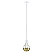 Paulmann Lámpara colgante WD Ravi (60 W, Ø x L: 8 x 150 cm, Blanco, E27) | BAUHAUS