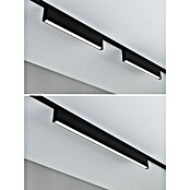 Paulmann URail Lámpara fluorescente LED Ceris (L x An x Al: 2,3 x 37,2 x 7,4 cm, Color de luz: Blanco cálido, Negro mate, 3.000 K) | BAUHAUS