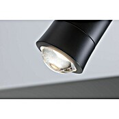 Paulmann URail Foco LED para riel ZB Spot Tarie RGBW (5,5 W, 6 x 16,05 cm, Negro) | BAUHAUS