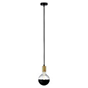 Paulmann Lámpara colgante WD Ravi (60 W, Ø x L: 8 x 150 cm, Oro, E27) | BAUHAUS