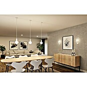 Paulmann Lámpara colgante WD Ravi (60 W, Ø x L: 8 x 150 cm, Blanco, E27) | BAUHAUS