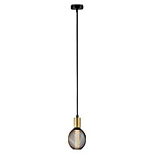 Paulmann Lámpara colgante WD Ravi (60 W, Ø x L: 8 x 150 cm, Oro, E27) | BAUHAUS