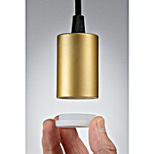 Paulmann Lámpara colgante WD Ravi (60 W, Ø x L: 8 x 150 cm, Oro, E27) | BAUHAUS
