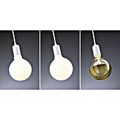Paulmann Lámpara colgante WD Ravi (60 W, Ø x L: 8 x 150 cm, Blanco, E27) | BAUHAUS