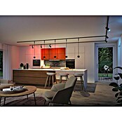 Paulmann URail Foco LED para riel ZB Spot Tarie RGBW (5,5 W, 6 x 16,05 cm, Negro) | BAUHAUS