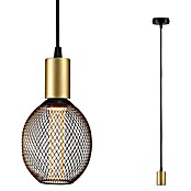 Paulmann Lámpara colgante WD Ravi (60 W, Ø x L: 8 x 150 cm, Oro, E27) | BAUHAUS