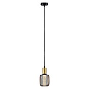 Paulmann Lámpara colgante WD Ravi (60 W, Ø x L: 8 x 150 cm, Oro, E27) | BAUHAUS