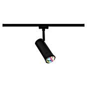 Paulmann URail Foco LED para riel ZB Spot Tarie RGBW (5,5 W, 6 x 16,05 cm, Negro) | BAUHAUS
