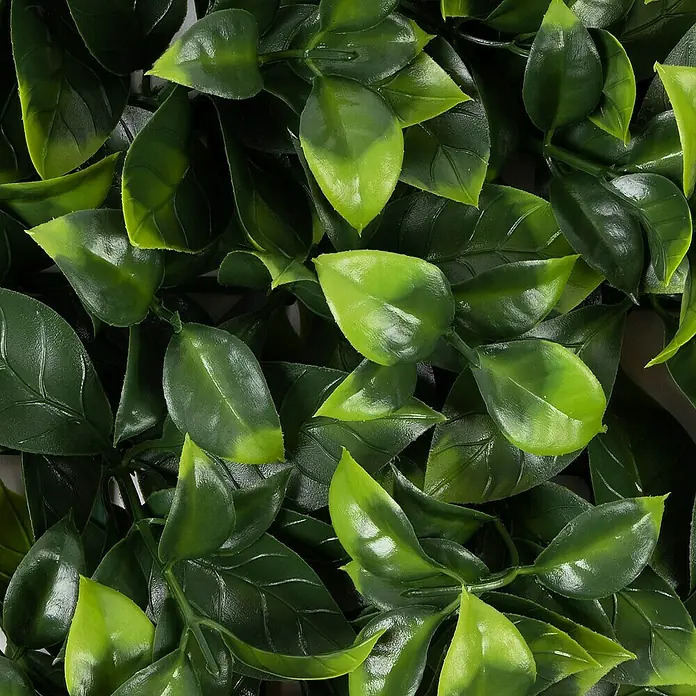 Floordirekt Kunstpflanze Pflanzenwand Gardenia 50 x 50 cm - Blütenfarbe: Grün, Kunststoff - Detailaufnahme einer üppigen, künstlichen Heckenmatte mit lebensechten, dunkelgrünen Blättern und frischen hellgrünen Akzenten.