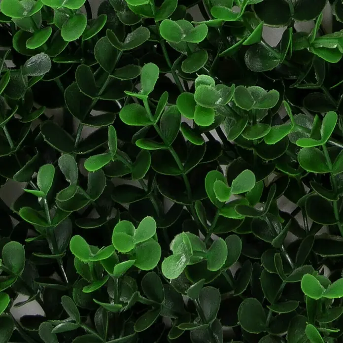 Floordirekt Kunstpflanze Pflanzenwand Buxus 50 x 50 cm - Blütenfarbe: Grün, Kunststoff - Nahaufnahme einer künstlichen Buchsbaumhecke, die eine dichte, grüne Textur zeigt, ideal für die Dekoration und als Sichtschutz.