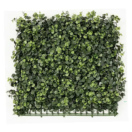 Floordirekt  Kunstpflanze Pflanzenwand Eucalyptus 50 x 50 cm