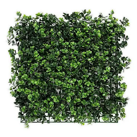 Floordirekt  Kunstpflanze Pflanzenwand Pachysandra 50 x 50 cm