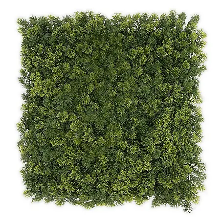 Floordirekt  Kunstpflanze Pflanzenwand Houttuynia-Cordata 50 x 50 cm
