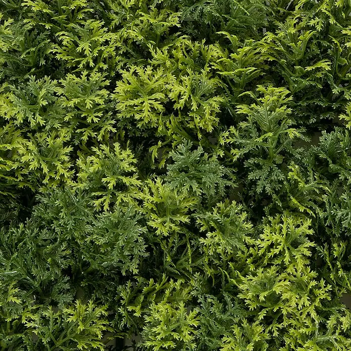 Floordirekt Kunstpflanze Pflanzenwand Houttuynia-Cordata 50 x 50 cm - Blütenfarbe: Grün, Kunststoff - Nahaufnahme von künstlichem grünen Moos, ideal für Dekorationen, mit verschiedenen Farbtönen und Texturen.