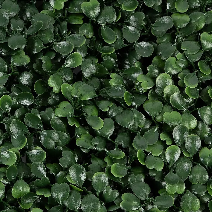 Floordirekt Kunstpflanze Pflanzenwand Boxwood Dark-Green 50 x 50 cm - Blütenfarbe: Grün, Kunststoff - Künstliche Buchsbaumhecke mit dichten, immergrünen Blättern für eine natürliche und wartungsfreie Dekoration im Innen- und Außenbereich.