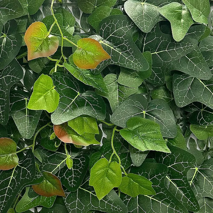 Floordirekt Kunstpflanze Pflanzenwand Ivy 33 x 33 cm - Blütenfarbe: Grün, Kunststoff - Nahaufnahme einer Wanddekoration aus künstlichen Efeublättern mit detailreichen Blattstrukturen und Farbverläufen. Ideal für eine natürliche Wandgestaltung.