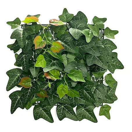 Floordirekt  Kunstpflanze Pflanzenwand Ivy 33 x 33 cm