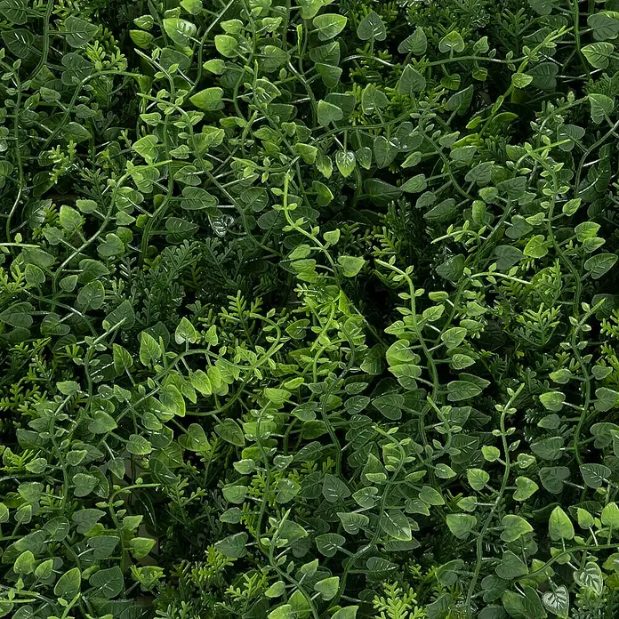 Floordirekt Kunstpflanze Pflanzenwand Fern 50 x 50 cm - Blütenfarbe: Grün, Kunststoff - Nahaufnahme einer üppigen, künstlichen grünen Wand mit verschiedenen Blattformen und -tiefen, die eine natürliche Textur erzeugen.