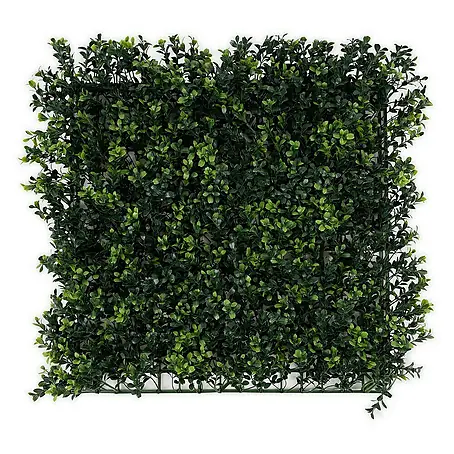 Floordirekt  Kunstpflanze Pflanzenwand Boxwood 50 x 50 cm
