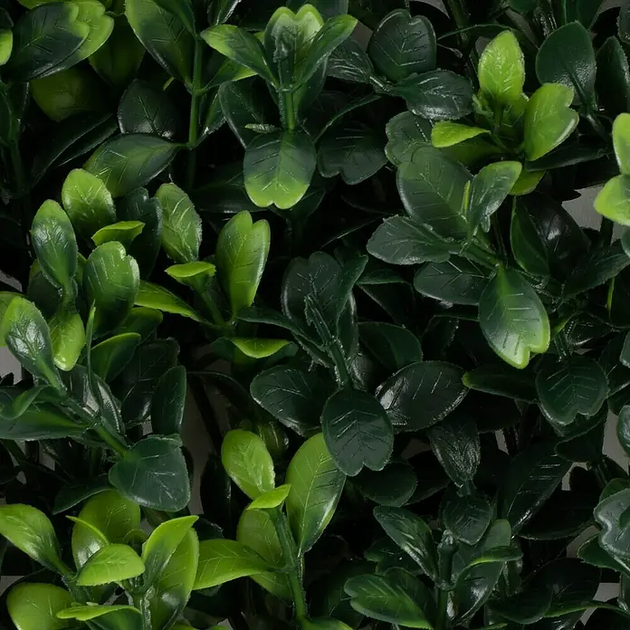 Floordirekt Kunstpflanze Pflanzenwand Boxwood 50 x 50 cm - Blütenfarbe: Grün, Kunststoff - Nahaufnahme einer üppigen, künstlichen Buchsbaumhecke, ideal als immergrüne Dekoration für Innen- und Außenbereiche.