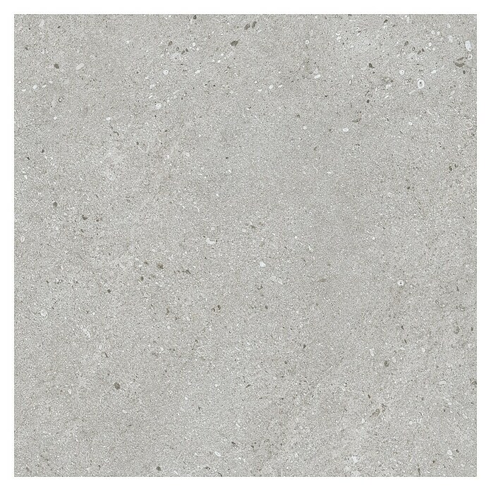 Pavimento porcelánico Balance (90 x 90 cm, Gris, Mate) | BAUHAUS