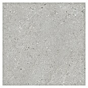 Pavimento porcelánico Balance (90 x 90 cm, Gris, Mate) | BAUHAUS